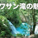セブセレクトツアーズの口コミ・評価を大公開【セブ島ツアーならおまかせ!】