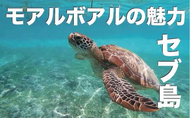 セブセレクトツアーズの口コミ・評価を大公開【セブ島ツアーならおまかせ！】