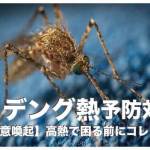 セブ島のデング熱を予防方法・徹底完全ガイド【注意喚起】