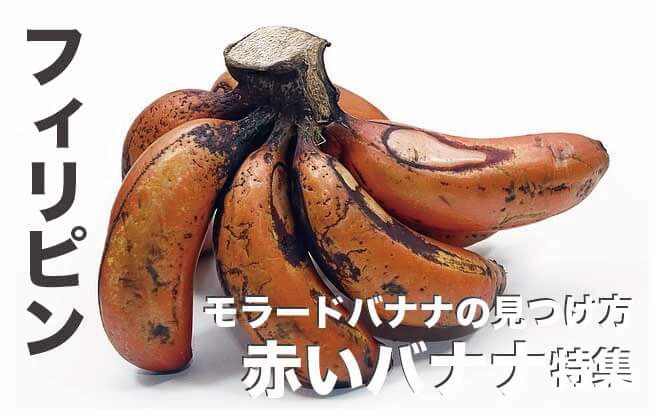 フィリピンの赤いバナナとは!?【珍しいモラードバナナ】