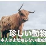 【タンバイ】フィリピンで仕事がない闇と現実