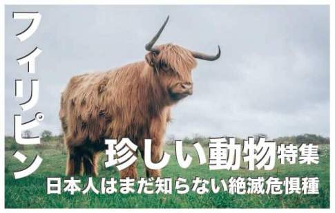 【タンバイ】フィリピンで仕事がない闇と現実