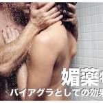 フィリピンの媚薬【バイアグラとして食べられる料理４選】