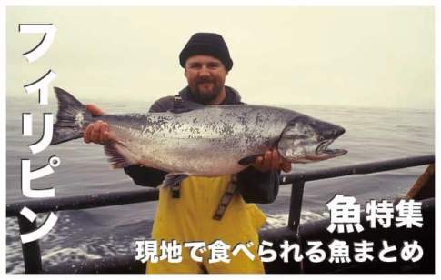 フィリピンの魚９選まとめ【現地で食べられる魚】