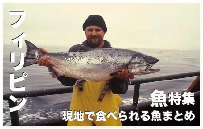 フィリピンの魚９選まとめ【現地で食べられる魚】