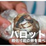 バロットの作り方・レシピ公開【フィリピンの珍味は孵化寸前の卵】