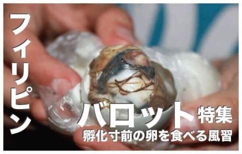 バロットの作り方・レシピ公開【フィリピンの珍味は孵化寸前の卵】