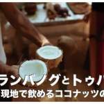 ランバノグとトゥバとは【ココナッツのお酒がフィリピンで人気】
