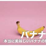 フィリピンのバナナ12選まとめ【本当に美味しいバナナはどれ？】