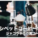 【シベットコーヒー】ジャコウネコの糞から作る貴重なコーヒー