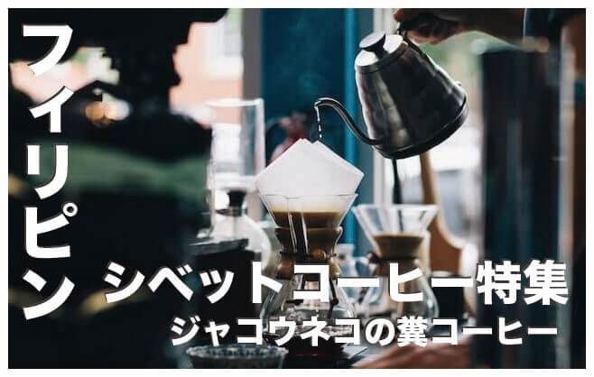 【シベットコーヒー】ジャコウネコの糞から作る貴重なコーヒー