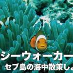 シーウォーカーでセブ島の海中散策！【ご予約受付中】