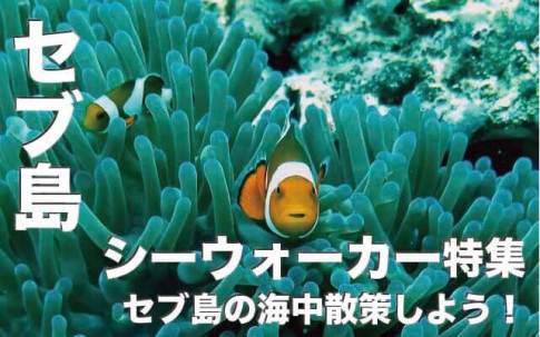 シーウォーカーでセブ島の海中散策！【ご予約受付中】